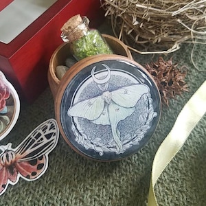 Luna Moth - Moon Magic - Dream Box - Keepsake - Trinket - Jewelry