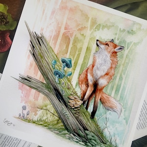Forest Fox Print - Watercolor - Fine Art - Mushrooms - Moss