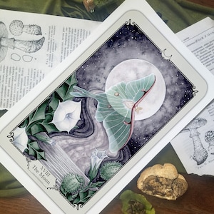 The Moon Tarot Print - Luna Moth - Cards - Major Arcana - Watercolor Art - Divination