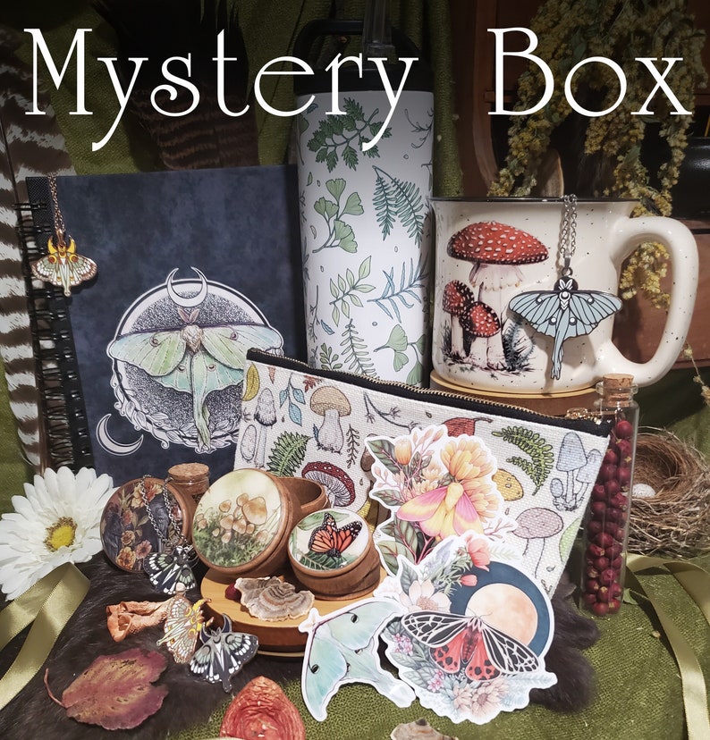 Mystery Box Fantasy and Nature Art Grab Bag Surprise Stickers, Mirrors, Prints, Bookmarks and so much More image 1