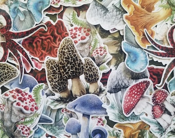 Stickers champignons - amanite - chantrelle - stinkhorn - morille - bonnet de lait - bonnet web - huître - dent qui saigne - russule - bolets - bonnet de cire