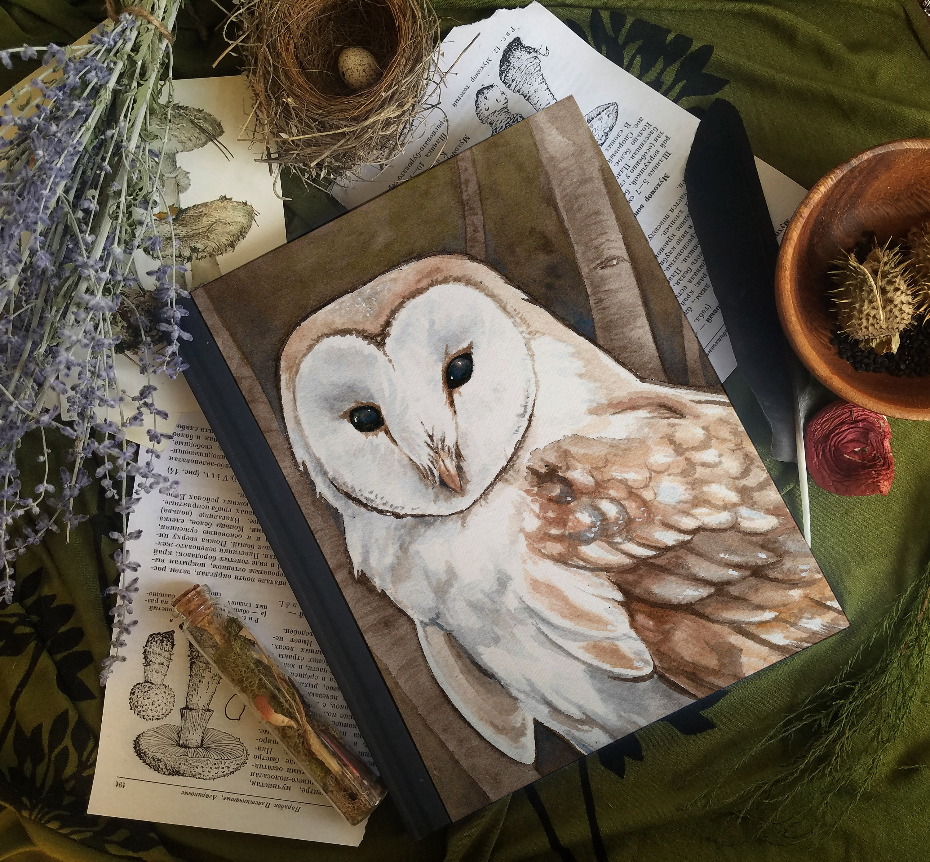 Barn Owl Journal / Notebook / Sketchbook- Animal Watercolor Art