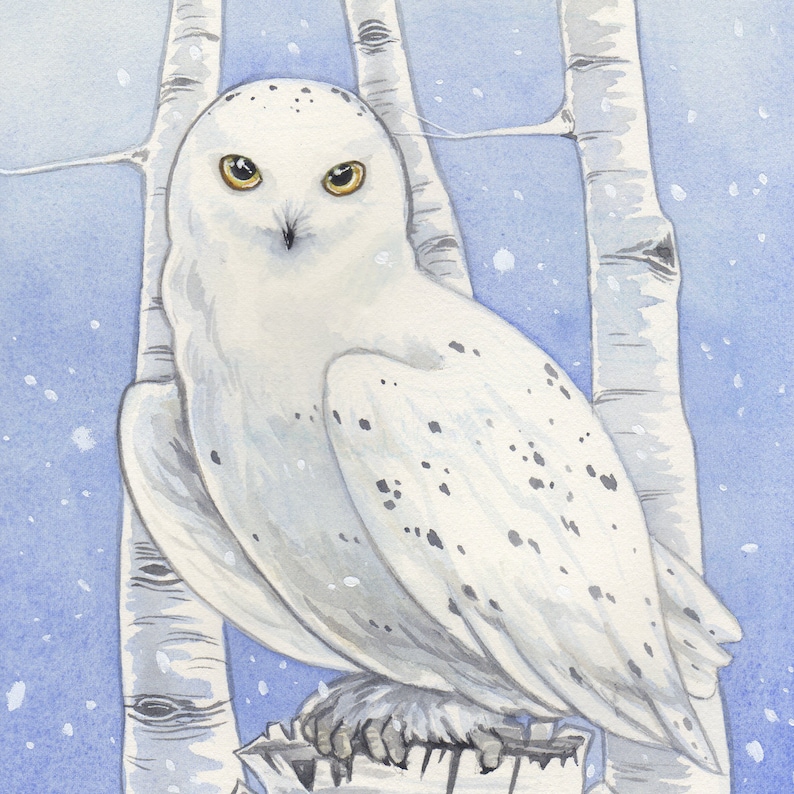 Snowy Owl Tile Keepsake Box