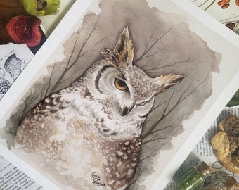 Great Horned Owl Print - Watercolor - Fine Art