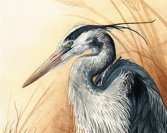 Great Blue Heron Print - 7x13 - Fine Art Print - Limited Edition