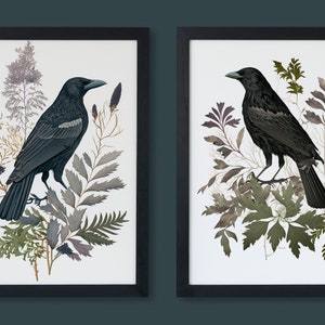 May include: Two framed prints featuring black crows perched on branches of dried botanicals. The crows are depicted in a realistic style with detailed feathers and a dark, almost black, color. The botanicals are a mix of greens, browns, and purples, creating a natural and organic feel.