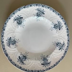 Antique French Ironstone plate, St Amand Néva model