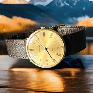 Vintage Accurist 21 Jewels Hand Wind Gold Tone VGC GWO Swiss Men&#39;s Watch