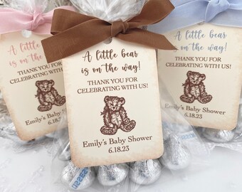 Teddy Bear Favor Treat Bags, Baby Shower Teddy Bear Favors, Birthday Teddy Bear Favor Bags,  A little bear is on the way