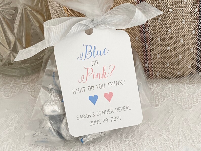Gender Reveal Favors Gender Reveal Favor Bags Boy or Girl Etsy
