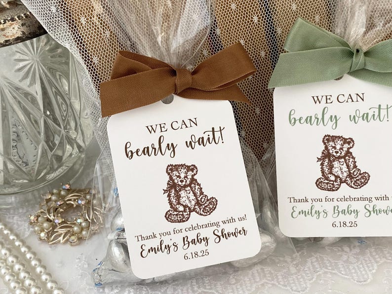 Teddy Bear Favor Treat Bags, Baby Shower Teddy Bear Favors, Birthday Teddy Bear Favor Bags, We Can Bearly Wait Shower Favors Bags image 3