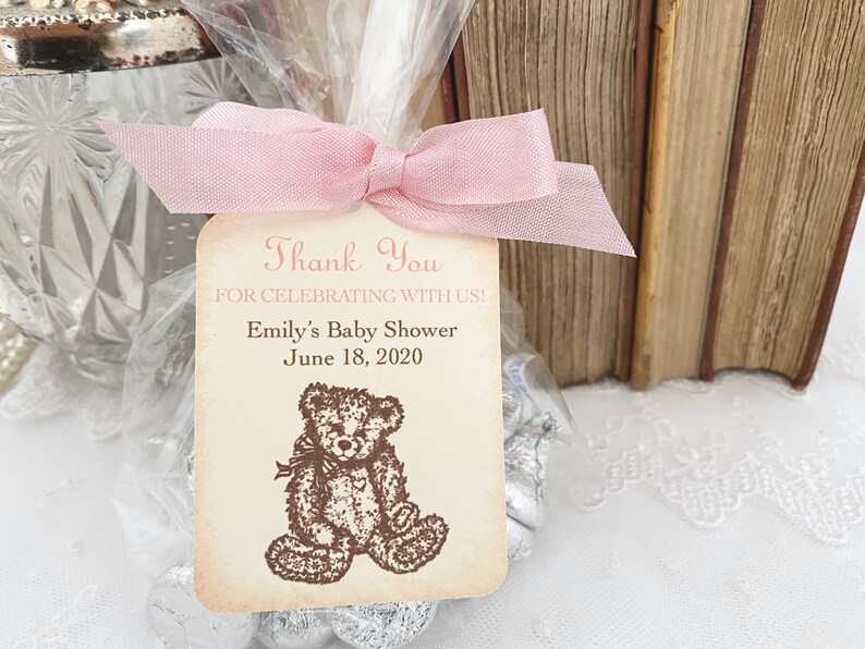 Teddy Bear Favor Treat Bags Baby Shower Teddy Bear Favors Etsy
