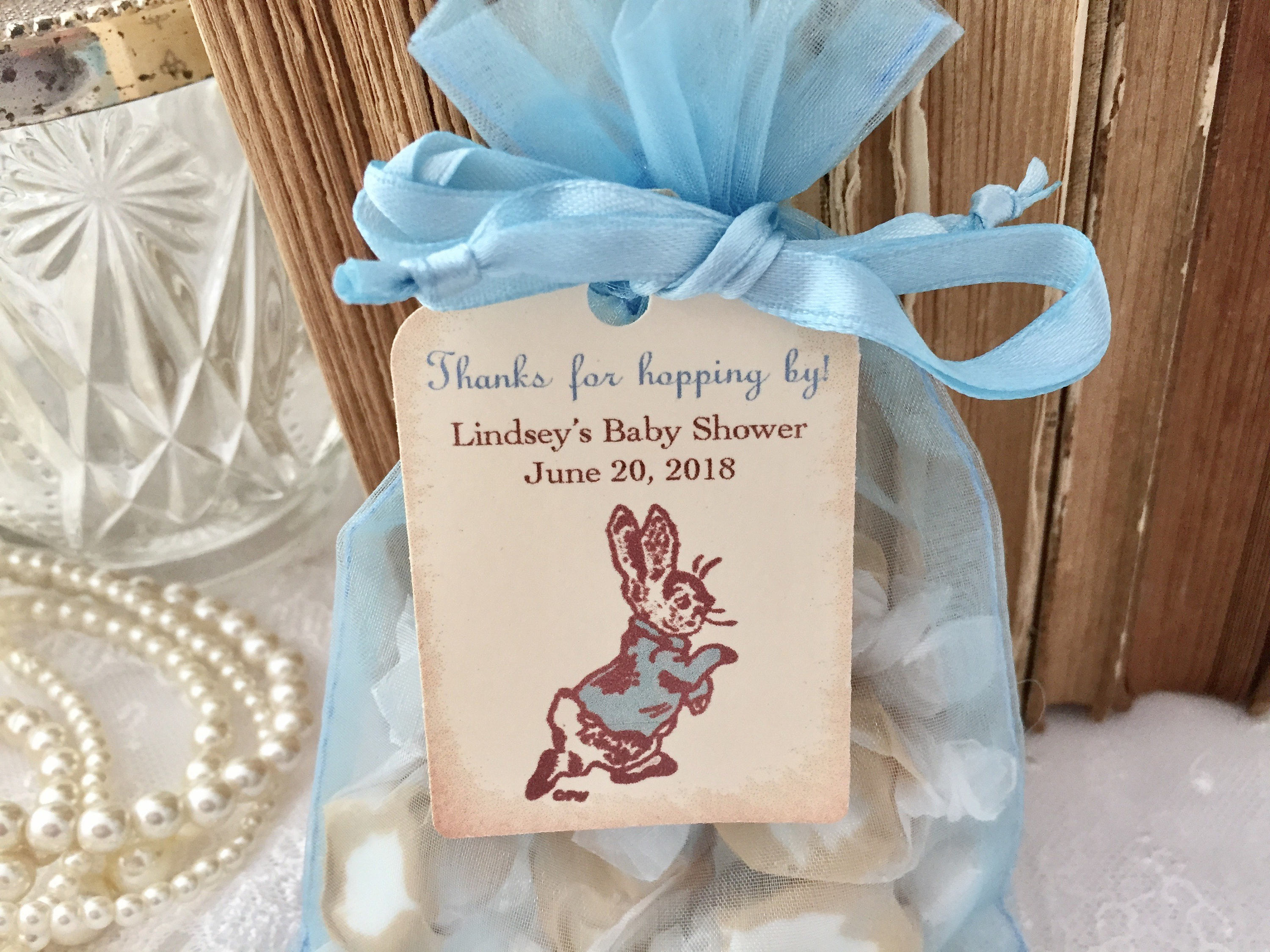 Peter Rabbit Baby Shower Favor Set Organza Bags and Etsy