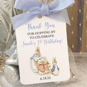 Peter Rabbit Birthday Favor Bags, Peter Rabbit 1st 2nd Birthday Gift Treat Bags, Peter Rabbit Treat Candy Birthday Party Favors