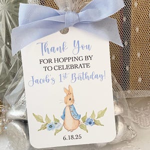Peter Rabbit Birthday Favor Bags, Peter Rabbit 1st 2nd Birthday Gift Treat Bags, Peter Rabbit Treat Candy Birthday Party Favors