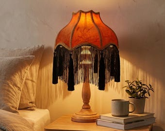 Pantalla de lámpara de terciopelo con flecos, pantalla de lámpara estilo boho chic, pantalla de luz con borlas, cubierta para lámpara colgante de mesa vintage, iluminación acogedora para el dormitorio.