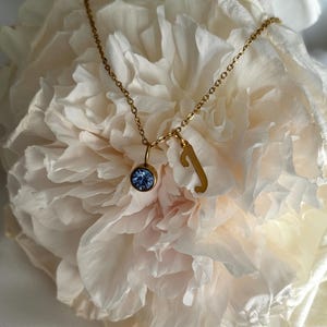 Delicado collar con inicial y piedra de nacimiento, joyería personalizada con nombre, collar con letra personalizada, joyería con piedra de nacimiento, regalo de cumpleaños, collar personalizado