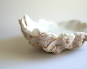 Edible Oyster Shells -Chocolate in a Half Shell -6 Large