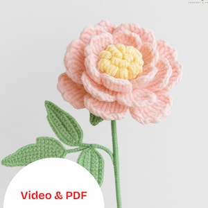 Crochet Peony Blume Muster Video Anleitung & PDF, häkeln Blumenstrauß Muster Video, häkeln Blumenstrauß Easy follow, häkeln stricken Pfingstrose