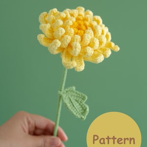 Crochet Chrysanthemum Pattern Video Anleitung & PDF, Crochet Flower Bouquet Pattern Video, Crochet Blumenmuster, Hochzeitsblume, Anfänger