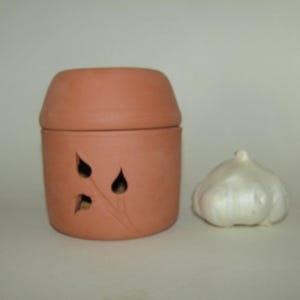 Garlic Keeper ;Terra Cotta pot; food preparation; garlic container; Hand Made in the USA