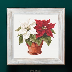 May include: Cross-stitch artwork of two poinsettia plants in a terracotta pot, one with white bracts and the other with red bracts. The plants have green leaves and are set against a white background, framed in a distressed white wooden frame.