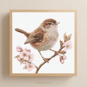 Zaunkönig und Blüten Kreuzstichmuster, Frühlingsvogel, PDF digitaler Download