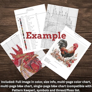 May include: Several printed cross-stitch patterns are displayed, including a colour image, size information, and a thread/floss list. One pattern shows a rooster in wildflowers. The word "Example" is printed in red on one of the pages.