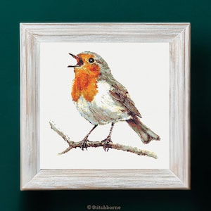 May include: A framed cross-stitch of a European robin perched on a branch. The bird has a vibrant orange breast, gray and brown wings, and is framed in a distressed white wooden frame. The background is a solid white, and the frame is set against a dark green backdrop.