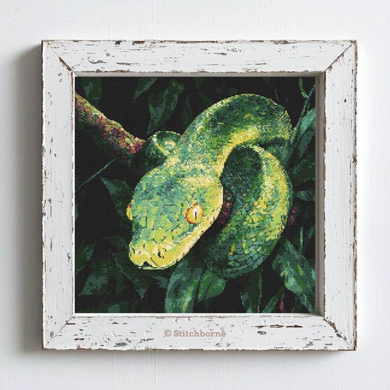 May include: A framed cross-stitch depicting a green snake coiled on a branch, set against dark green foliage. The snake has yellow eyes and a yellow underbelly. The white frame has a distressed finish. The text "&copy; Stitchborne" is in the bottom right corner.