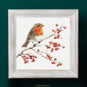 Può includere: Opera d'arte a punto croce di un pettirosso appollaiato su un ramo innevato con bacche rosse. L'uccello ha il petto arancione e piume grigie e marroni. L'opera è incorniciata in una cornice di legno sbiancato. L'immagine ha uno sfondo bianco.