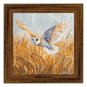 May include: A framed cross-stitch of a barn owl in flight over a wheat field. The owl has white, tan, and gray feathers, with a heart-shaped face. The wheat field is golden, and the frame is brown. The text "Stitchborne" is at the bottom.