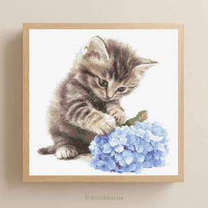 May include: A framed cross-stitch of a kitten playing with a blue hydrangea. The kitten has brown and gray striped fur. The hydrangea is a vibrant blue with green leaves. The frame is made of light-colored wood. The text "Stitchborne" is in the bottom right corner.