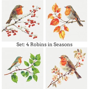 May include: Four cross-stitch images of robins in different seasonal settings. One robin sits on a snowy branch with red berries, another on a branch with orange leaves, a third on a branch with green leaves, and the last on a branch with pink flowers. Text reads: Set: 4 Robins in Seasons.