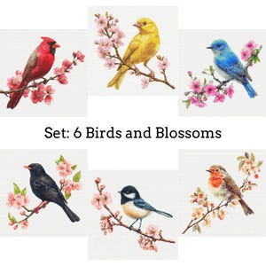 以下が含まれることがあります： 6つの鳥と花のクロスステッチパターンセット。赤いカージナル、黄色いカナリア、青い鳥、黒い鳥、小さな青と白の鳥、コマドリなど、さまざまな鳥が咲き誇る枝に止まっている様子を描いています。「Set: 6 Birds and Blossoms」のテキストが含まれています。