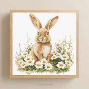 May include: A framed cross-stitch of a brown rabbit sitting in a field of white daisies with yellow centers and green foliage. The artwork is in a light wooden frame and has the text "© Stitchborne" at the bottom.