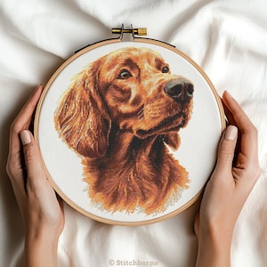 May include: A cross-stitch embroidery of a dog's head in a wooden hoop. The dog has reddish-brown fur and is looking to the side. The embroidery is on white fabric. The hoop is held by hands. The text "Stitchborne" is at the bottom.