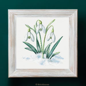 Pode incluir: Ponto cruz de flores de campanhas-da-neve numa moldura de madeira branca. As campanhas-da-neve têm pétalas brancas e caules e folhas verdes, emergindo de um pedaço de neve. A obra de arte está sobre um fundo verde escuro.