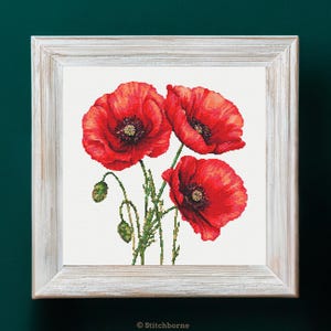 Puede incluir: Un bordado de punto de cruz enmarcado de tres amapolas rojas vibrantes con centros oscuros y tallos verdes. La obra de arte está colocada sobre un fondo blanco y enmarcada en un marco de madera clara envejecida. La imagen es un primer plano de las flores.