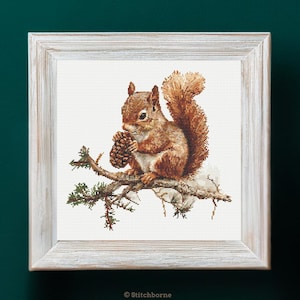 May include: A framed cross-stitch of a squirrel holding a pine cone. The squirrel has reddish-brown fur and a bushy tail. It is perched on a branch with green needles. The frame is white with a distressed finish. The text "© Stitchborne" is at the bottom.