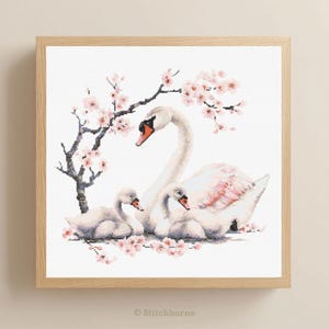 May include: Cross-stitch artwork of a swan family with two cygnets, framed in a light wood. The swans are white with pink accents, nestled among pink cherry blossoms. The artwork is signed "Stitchborne".