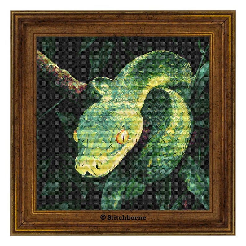 May include: A framed cross-stitch depicting a green snake coiled on a branch, with a dark green foliage backdrop. The snake features yellow eyes and a textured design. The frame is a dark brown. The text "&copy; Stitchborne" is in the bottom right corner.