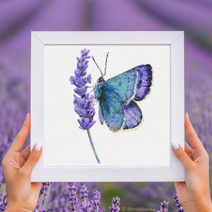 May include: A framed cross-stitch of a blue butterfly on a lavender sprig. The butterfly has detailed wings with shades of blue and purple. The artwork is set against a white background and framed in a white square frame. The background is a field of lavender.