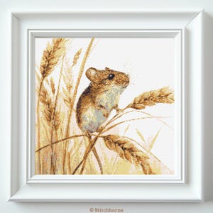 Könnte beinhalten: Eine braune Maus sitzt auf einem Weizenhalm und blickt zum Betrachter hinauf. Der Hintergrund ist ein Feld mit Weizenhalmen.