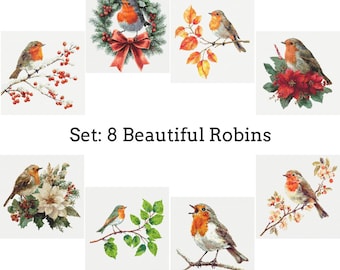 8 Beautiful Robins Cross Stitch Patterns PDF Download Printable European Robin Cross Stitch Pattern Bird Cross Stitch Pattern Bird on Branch