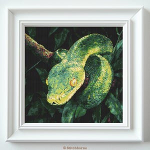 May include: A framed cross-stitch of a green snake coiled around a branch, surrounded by dark green leaves. The snake has yellow eyes and a yellow and green patterned body. The artwork is in a white frame.