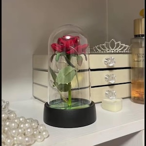 Eternal Rose in Glass Dome with LED Lights – Fairytale Party Gift