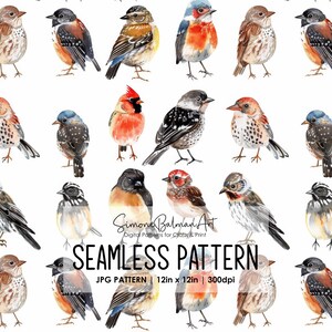 Wilde Vögel Musterdesign Datei Wiederholungsdruck für Stoff Sublimation Digitales Papier Handwerk Design Tapete Hintergrund Garten Sommer Dekor Kunst