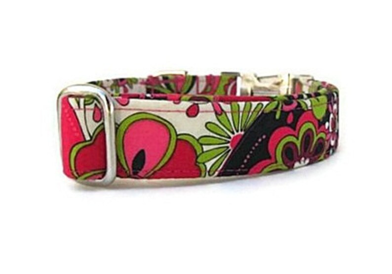 Floral Dog Collar Raspberry Lime with Nickel Hardware Etsy