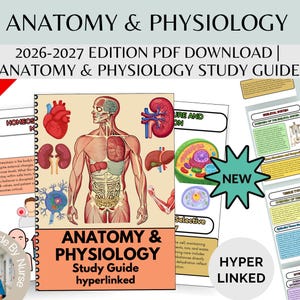 Puede incluir: Guía de estudio de Anatomía y Fisiología con una ilustración detallada de la anatomía humana. La portada presenta el texto "ANATOMY & PHYSIOLOGY Study Guide hyperlinked" y "2026-2027 EDITION PDF DOWNLOAD". Incluye una pegatina "NEW" y una pancarta "75% OFF".
